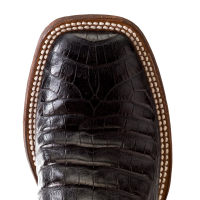 M9141 - “Bite in Shining Armor”